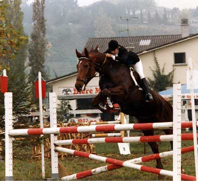Horse Jumping Eventing 